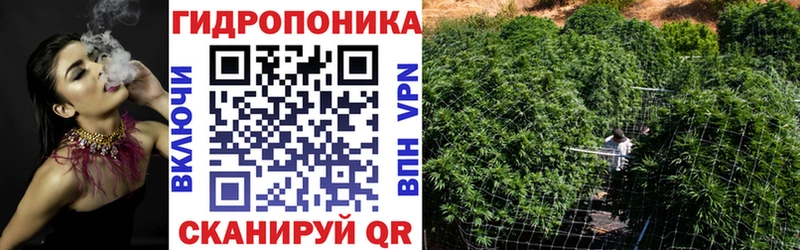 Продажа наркотиков Заволжск Псилоцибиновые грибы  Канабис  COCAIN  Вейп ТГК  ГАШИШ  Мефедрон 