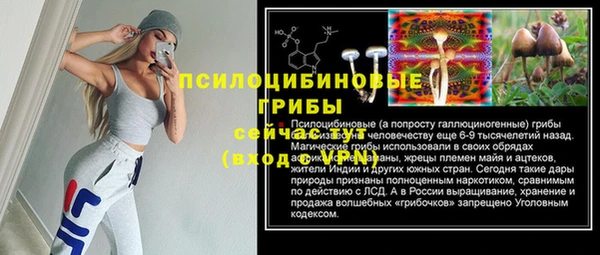 прущая мука Вязники