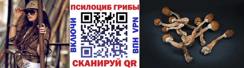 Псилоцибиновые грибы мицелий  Заволжск 